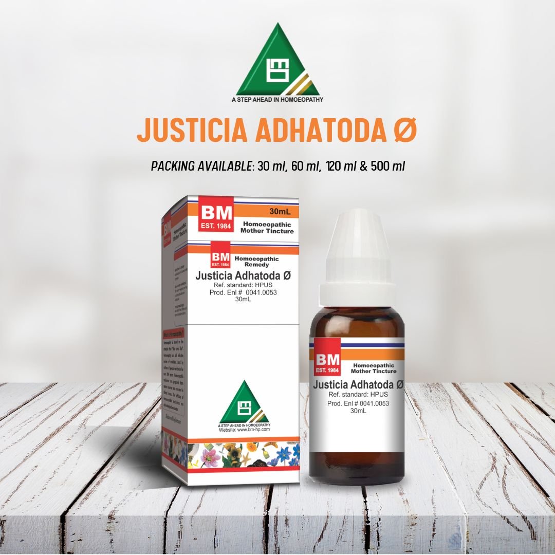 JUSTICIA ADHATODA Ø